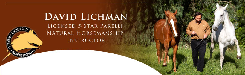 David Lichman Licensed 5-Star Parelli Natural Horsemanship Instructor