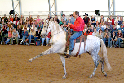 Gaited Horses, Naturally! 2 DVDs with a 50 page book created by David Lichman